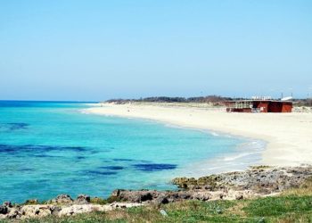 Cosa fare e cosa vedere. Tanti motivi per scegliere Torre Vado per le tue vacanze a settembre!