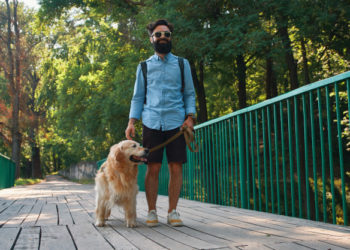 In viaggio con gli animali