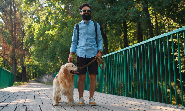 In viaggio con gli animali