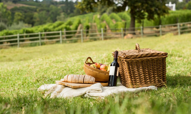 10 consigli per rendere indimenticabile un picnic in famiglia