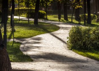 Sentieri per famiglie, i trekking in Italia consigliati con i bambini
