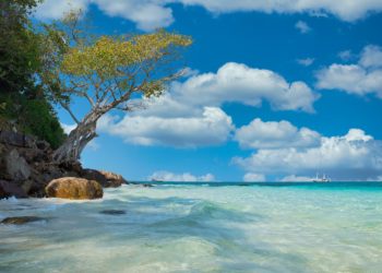 Vacanze, nel 2021 +11 mln italiani in viaggio ma 7mln in meno rispetto al 2019