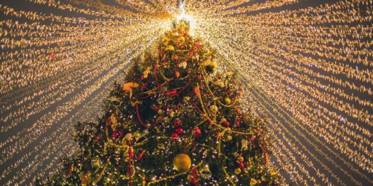 Luci d’Artista a Salerno 2023: tutto quello che c’è da sapere