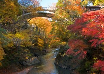 I paesaggi autunnali più belli in Italia: Un viaggio tra colori e storia