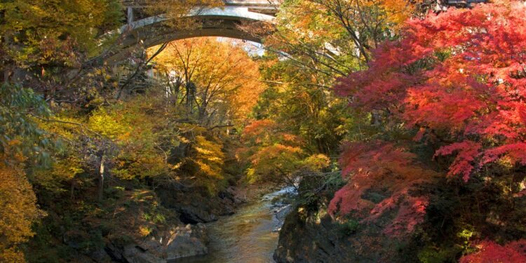 I paesaggi autunnali più belli in Italia: Un viaggio tra colori e storia