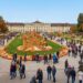 Magia d’Autunno: Le più spettacolari fiere della zucca da visitare in Europa